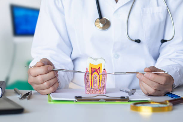 Best Emergency Dentist for Lost Fillings or Crowns in West Liberty, IA